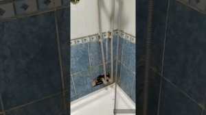 Ремонт в ванной комнате. Ремонт труб, замена плиток