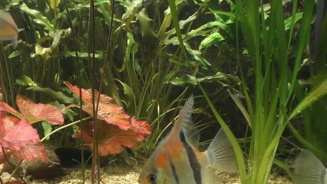 Музыка для релаксации  Музыка природы и гор Музыка для медитации расслабляющая музыка для души1