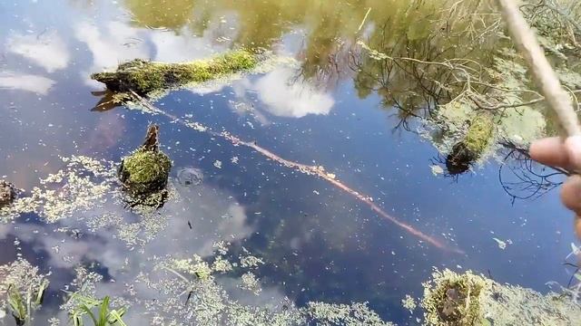 Ловля ротана без поплавка по простому смотреть онлайн