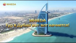 Travel Tour WHIEDA | Лидерская поездка в Абу-Даби | промо видео