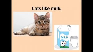 Урок 6 по английскому языку по теме Еда и напитки | Food and drinks