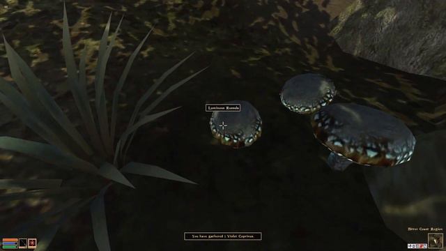 Four Types of Mushrooms - Mages Guild Walkthrough (TES III Morrowind) смотреть онлайн