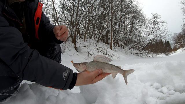 Хариус в феврале 2.Горек хлеб поисковика. смотреть онлайн