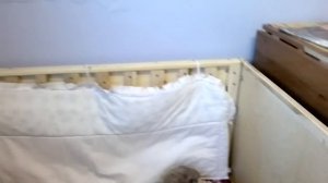 манеж своими руками