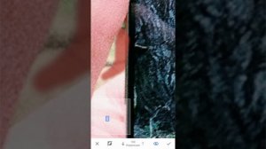 Как выделить объект цветом на смартфоне. Цветной объект на чёрно-белом фото. Colorsplash.