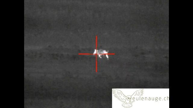 ATN MARS 4 Überläuferkeiler 4.5-18 смотреть онлайн