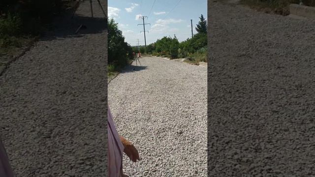 Ремонт дорожного покрытия по улице Рабочая , Херсон смотреть онлайн