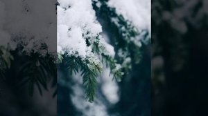 Я помню день когда меня нашла любовь великая