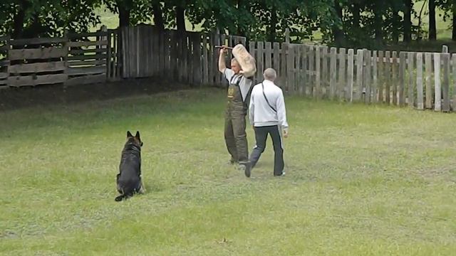 Защитно-караульная служба (ЗКС), раздел защиты // Крикливый Виктор н/о АЙС смотреть онлайн