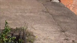 Кремль Смоленск