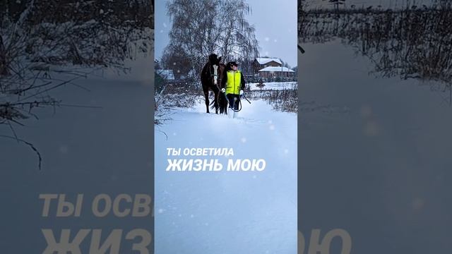 На прогулке