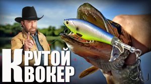 ? Неубиваемый КВОКЕР от Kingdom! Сравнение с Whopper Plopper от Allblue! ???