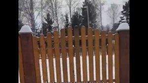 Деревянный забор или металлический штакетник?