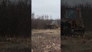 Раскорчёвка.Мульчирование кустарников и мелких деревьев