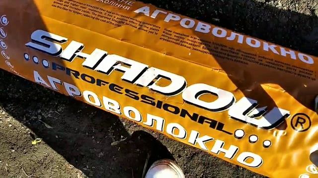 Екперементи з пізньою посадкою( касетна полуниця в листопаді) смотреть онлайн