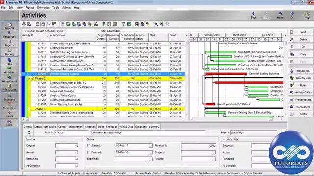 How to use Drag and Drop function in Primavera P6 || Primavera Tricks