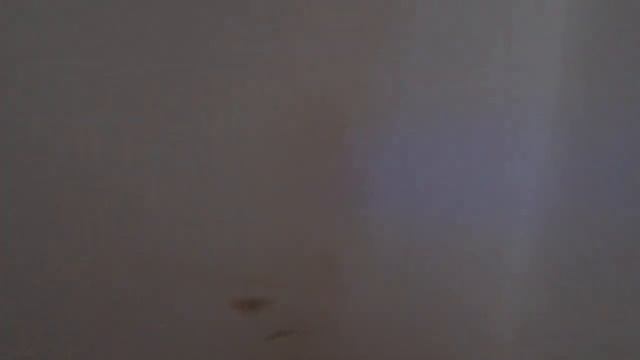 9 (1)