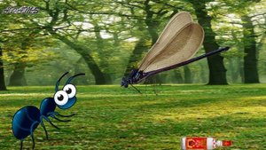 Стрекоза и муравей(Басня на кавказский лад)