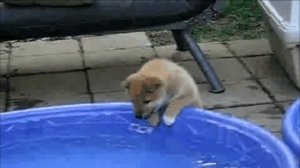 Детям о воде. Children about water.