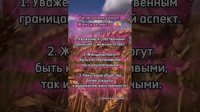 Ну сейчас поговорим!