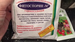 Дендрофаленопсис ... цветение, уход, пересадка...новый цветонос)