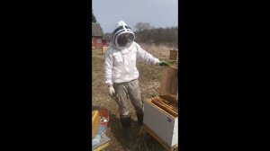 апрель 14, карника Смоленская обл