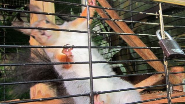 Сочи 2021 Маленький фотограф. Работы шестилетней девочки смотреть онлайн