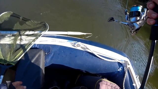 ВСТАЛИ в КЛЁВОМ МЕСТЕ и ЩУКА НА КАЖДОМ ЗАБРОСЕ! Ловля щуки на спиннинг осенью! Рыбалка на джиг 2023!