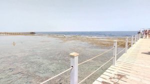 Eгипет, Шарм-Эль-Шейх, Отель Rehana royal beach resort spa 5, вся правда о море