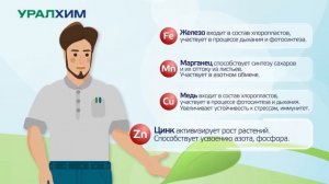 Роль микроэлементов в питании растений