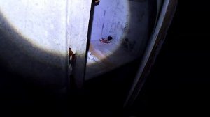 ВНУТРИ УСАДЬБЫ СТАЛИНА  АНОНИМУСА  БЛОГ