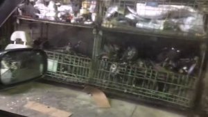 Suzuki Swift HT51S M13A 2004 г.в. (донор 765)