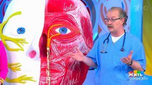 Весенний поллиноз: что делать? Жить здорово! Фрагмент выпуска от 19.03.2018