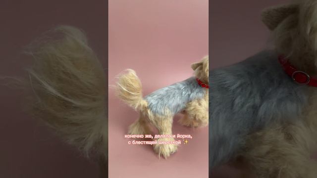 Продолжаем? #needlefelting #сухоеваляние #породысобак