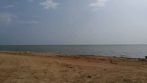 Станица Камышеватская Ейский район Краснодарский край, размеры, безопасность, вода, Азовское море