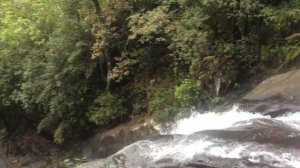 ШРИ-ЛАНКА. СИНХАРАДЖА.