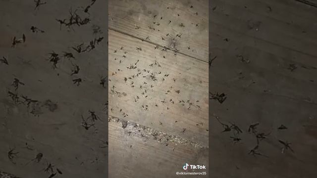 кто о чем