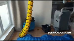 Как высушить ламинат после потопа, залива, не разбирая Sushkadoma.ru 89680823129
