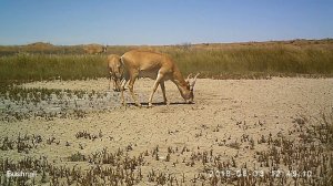 Приоткрывая заповедные двери...В поисках воды.