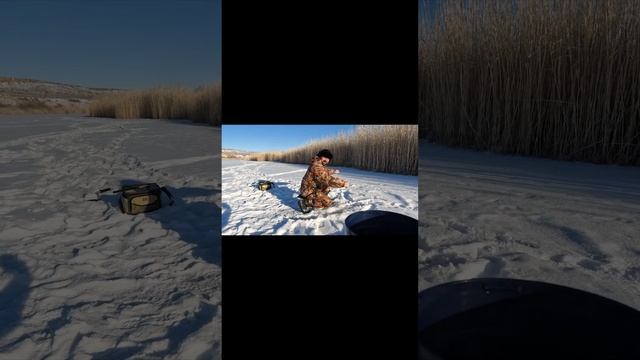 Fishing in Kazakhstan, shorts, рыбалка в казахстане Река Сарысу , Жезказган. смотреть онлайн