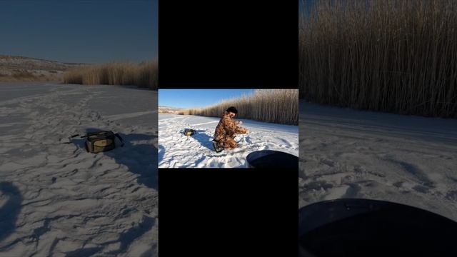 Fishing in Kazakhstan, shorts, рыбалка в казахстане Река Сарысу , Жезказган.