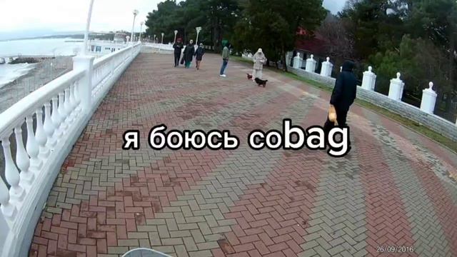 моя новогодняя поездка в Геленджик