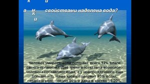 вода на земле презентация 5 класс