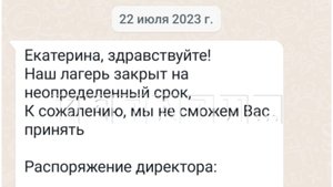 Нажива на детях - мошенники организовали в Сочи виртуальный детский лагерь