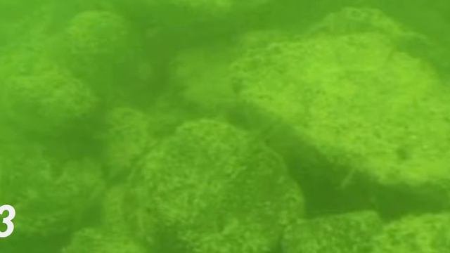 5 САМЫХ ЗАГАДОЧНЫХ ПОДВОДНЫХ СООРУЖЕНИЙ