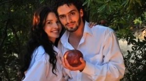 Вкус граната