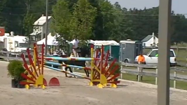 dacha 1 40m swan lake смотреть онлайн