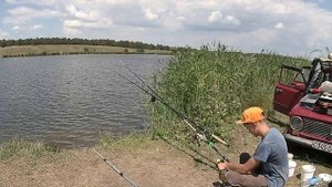 Ловля карпа сазана толстолобика карася