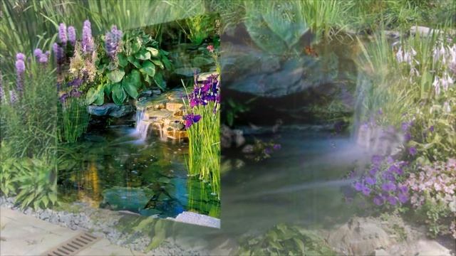 Хоста  - растения для тени. Садовый дизайн с хостами. Садовые композиции с хостами.