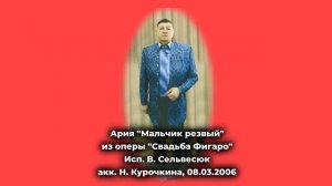 Ария "Мальчик резвый" из оперы "Свадьба Фигаро" - Исп. В. Сельвесюк, акк. Н. Курочкина, 08.03.2006